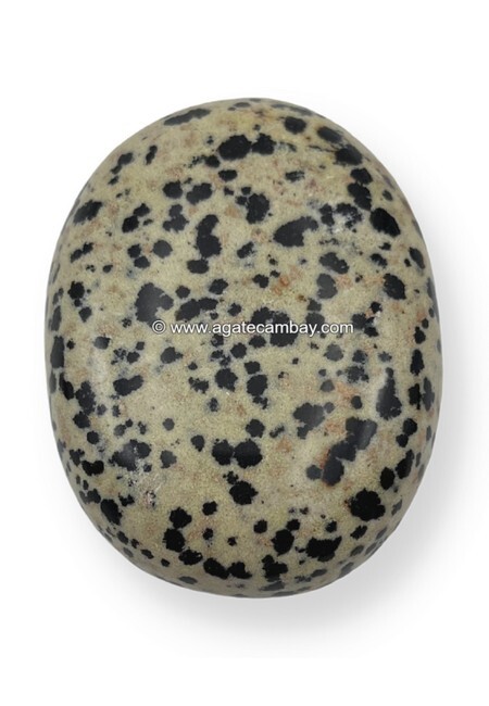 Dalmatian Jasper Palm Stone